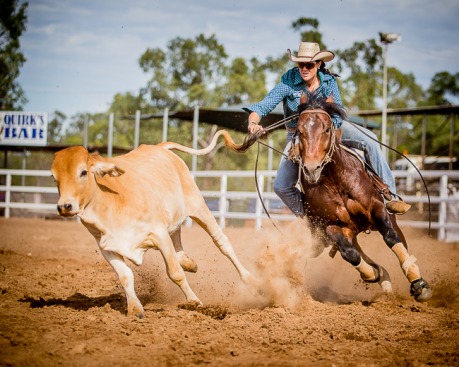 Campdraft