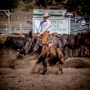 Springsure Cutting Show 2014