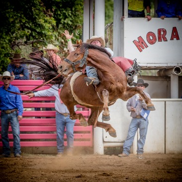 Moranbah Rodeo 2014