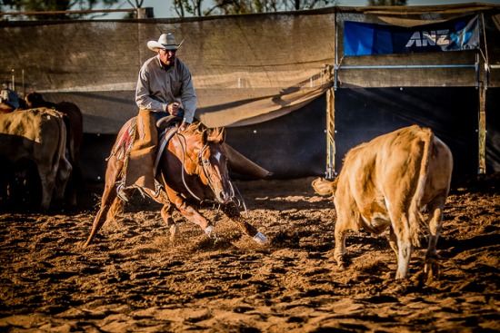 Wildhorse Cutting Show