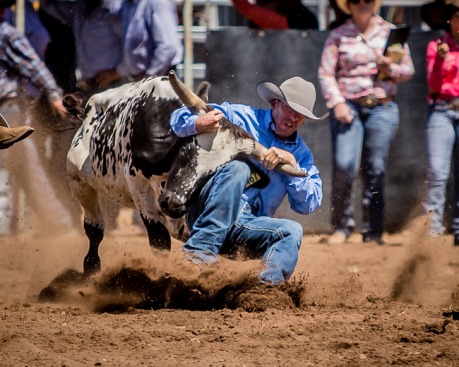 Comet Benefit Rodeo 2016