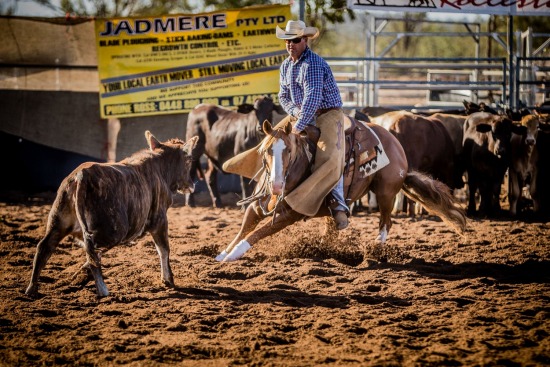 Wildhorse Cutting Show 2016