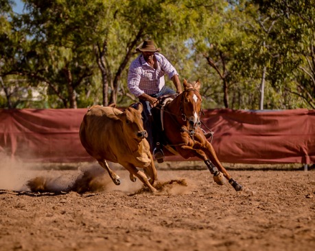 Normanton Campdraft 2016