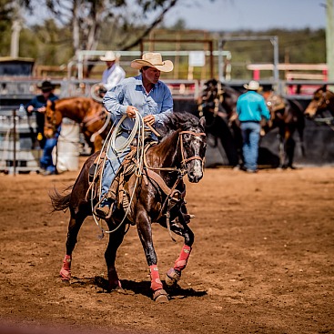 Comet Benefit Rodeo 2018