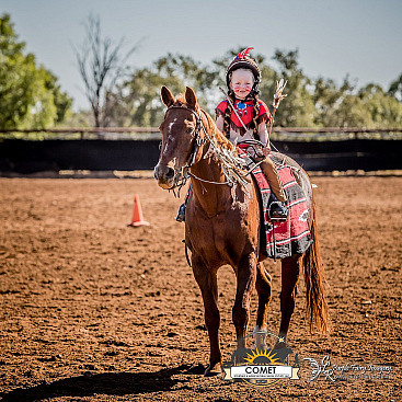 Comet Agricultural Show 2023