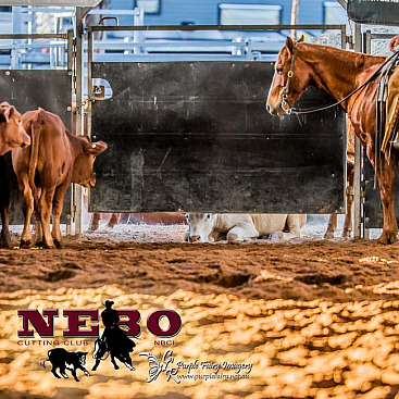 Nebo Cutting Show 2023